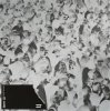 Portada Solomun feat. Tom Smith - Night Travel (Trance Wax Remix) Solomun feat. Tom Smith - Night Travel (Trance Wax Remix)