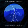 Portada Calvin Harris feat. Rihanna - This Is What You Came For Calvin Harris feat. Rihanna - This Is What You Came For