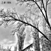Portada TheNobleMan - фантазия TheNobleMan - фантазия