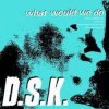 Portada DSK - What Would We Do (Original Mix) DSK - What Would We Do (Original Mix)