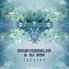 Portada Astrix - Type 1 (Drukverdeler & DJ Bim Remix) Astrix - Type 1 (Drukverdeler & DJ Bim Remix)
