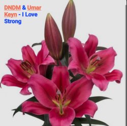 Portada DNDM & Umar Keyn - I Love Strong