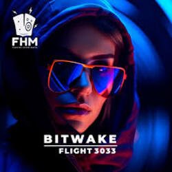 Portada Bitwake - Flight 3033