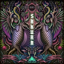 Portada Cosmic Brahma - Refraction