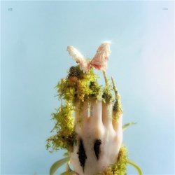 Portada Liu Lian - Drop It High