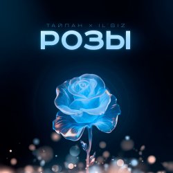 Portada Тайпан feat. IL'GIZ - Розы