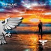 Portada DJ Phalanx - Sunstate DJ Phalanx - Sunstate