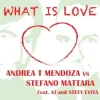 Portada Andrea T Mendoza vs. Stefano Mattara feat. AJ - What Is Love (Radio Edit) Andrea T Mendoza vs. Stefano Mattara feat. AJ - What Is Love (Radio Edit)