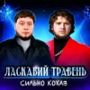 Portada Ласкавий Травень - Cильно Кохав (IGOR MATUS Remix) Ласкавий Травень - Cильно Кохав (IGOR MATUS Remix)