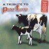 Billy Sherwood, Chris Squire, Alan White - Comfortably Numb
