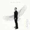 Portada Daddy Yankee - Toy Hermoso Daddy Yankee - Toy Hermoso