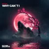 Portada Miyuki - Why Can´t I Miyuki - Why Can´t I