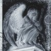Portada akiaura, LONOWN, Olya Holiday - Stay Strange akiaura, LONOWN, Olya Holiday - Stay Strange