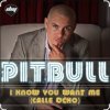 Portada Pitbull - I Know You Want Me Pitbull - I Know You Want Me