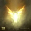Portada Dave & Tems - Raindance Dave & Tems - Raindance