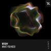 Portada Ritchy - What You Need Ritchy - What You Need