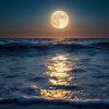 Portada ОДМ - Moonlit Waves ОДМ - Moonlit Waves