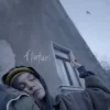 Portada EMAA - Fluturi EMAA - Fluturi