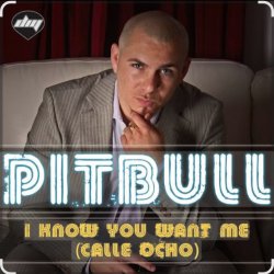 Portada Pitbull - I Know You Want Me
