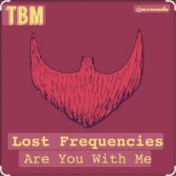 Portada Lost Frequencies - Are You With Me