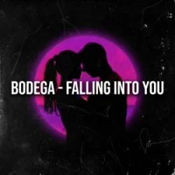 Portada Bodega - Falling Into You