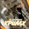 Portada Ірина Шабан - На зламаних крилах Ірина Шабан - На зламаних крилах