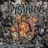 Portada Distain - Roaming Embers Distain - Roaming Embers