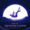 Portada Raoul Russu & Alina Jais - Printre nori si ganduri (Jayraa Remix) Raoul Russu & Alina Jais - Printre nori si ganduri (Jayraa Remix)