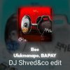 Portada Ulukmanapo, BAPAY - Вес (DJ Shved&co EDIT) Ulukmanapo, BAPAY - Вес (DJ Shved&co EDIT)