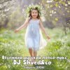 Portada DJ Shved&co - Весенний русский попсо-микс (апрель 2026) DJ Shved&co - Весенний русский попсо-микс (апрель 2026)