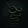 Portada CHURSANOV - Анаконда (KARMV REMIX) CHURSANOV - Анаконда (KARMV REMIX)