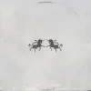 Portada The Chainsmokers & Oaks - Echo The Chainsmokers & Oaks - Echo