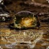 Portada Lunatick Project - When You Can Not Sleep Lunatick Project - When You Can Not Sleep
