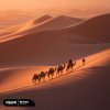 Portada DEMER - My Pace DEMER - My Pace