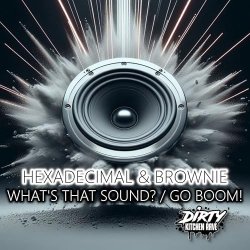 Portada Hexadecimal & DJ Brownie - What's That Sound