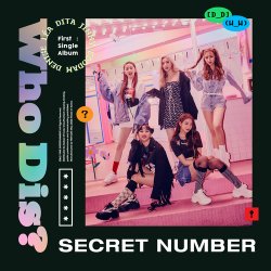 Portada SECRET NUMBER - Who Dis