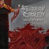 Portada Stillborn Condition - Born of Bile Stillborn Condition - Born of Bile