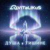 Portada ViTaLiKuS - Душа в тишине ViTaLiKuS - Душа в тишине