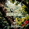Portada Jerbi - Fav Tracks Mix: ESSENTIAL || Uplifting Trance Mix Jerbi - Fav Tracks Mix: ESSENTIAL || Uplifting Trance Mix