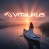 Portada ViTaLiKuS - Мы встречались с тобой на закате ViTaLiKuS - Мы встречались с тобой на закате