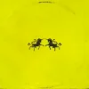 Portada The Chainsmokers & Oaks - Wild The Chainsmokers & Oaks - Wild