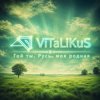 Portada ViTaLiKuS - Гой ты, Русь, моя родная ViTaLiKuS - Гой ты, Русь, моя родная