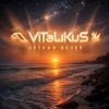 ViTaLiKuS - Летний вечер