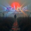 Portada ViTaLiKuS - Те же росы, откосы, туманы… ViTaLiKuS - Те же росы, откосы, туманы…