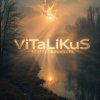 ViTaLiKuS - Безглагольность