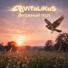 Portada ViTaLiKuS - Ветреный поэт ViTaLiKuS - Ветреный поэт