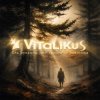 ViTaLiKuS - Ель рукавом мне тропинку завесила…