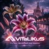 ViTaLiKuS - Мне мил прелестный ваш подарок
