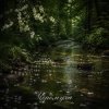 Portada Anna Svet - Черёмуха Anna Svet - Черёмуха