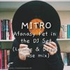 Portada MITRO - Afanasy Fet in the DJ Set (Lounge & Deep House mix) MITRO - Afanasy Fet in the DJ Set (Lounge & Deep House mix)
